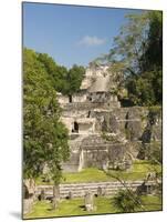 Great Plaza, North Acropolis, Tikal, UNESCO World Heritage Site, Tikal National Park, Guatemala-null-Mounted Photographic Print