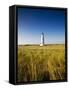 Great Point Lighthouse-Onne van der Wal-Framed Stretched Canvas