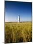 Great Point Lighthouse-Onne van der Wal-Mounted Photographic Print