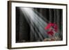 Great Potential-digitalista-Framed Art Print