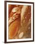 Great Red Spot on Jupiter, 1979-null-Framed Giclee Print