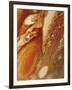 Great Red Spot on Jupiter, 1979-null-Framed Giclee Print