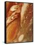 Great Red Spot on Jupiter, 1979-null-Framed Stretched Canvas