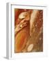 Great Red Spot on Jupiter, 1979-null-Framed Giclee Print