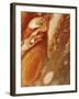 Great Red Spot on Jupiter, 1979-null-Framed Giclee Print