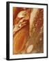 Great Red Spot on Jupiter, 1979-null-Framed Giclee Print