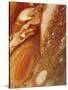 Great Red Spot on Jupiter, 1979-null-Stretched Canvas