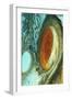 Great Red Spot on Jupiter, 1979-null-Framed Premium Giclee Print