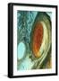 Great Red Spot on Jupiter, 1979-null-Framed Giclee Print