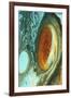 Great Red Spot on Jupiter, 1979-null-Framed Giclee Print