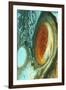 Great Red Spot on Jupiter, 1979-null-Framed Premium Giclee Print