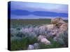 Great Salt Lake and the Wasatch Range, from Antelope Island State Park, Utah, USA-Jerry & Marcy Monkman-Stretched Canvas