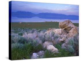 Great Salt Lake and the Wasatch Range, from Antelope Island State Park, Utah, USA-Jerry & Marcy Monkman-Stretched Canvas