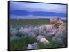 Great Salt Lake and the Wasatch Range, from Antelope Island State Park, Utah, USA-Jerry & Marcy Monkman-Framed Stretched Canvas