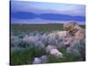 Great Salt Lake and the Wasatch Range, from Antelope Island State Park, Utah, USA-Jerry & Marcy Monkman-Stretched Canvas
