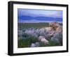 Great Salt Lake and the Wasatch Range, from Antelope Island State Park, Utah, USA-Jerry & Marcy Monkman-Framed Premium Photographic Print