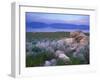 Great Salt Lake and the Wasatch Range, from Antelope Island State Park, Utah, USA-Jerry & Marcy Monkman-Framed Premium Photographic Print