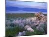 Great Salt Lake and the Wasatch Range, from Antelope Island State Park, Utah, USA-Jerry & Marcy Monkman-Mounted Premium Photographic Print