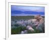 Great Salt Lake and the Wasatch Range, from Antelope Island State Park, Utah, USA-Jerry & Marcy Monkman-Framed Photographic Print