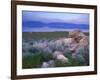 Great Salt Lake and the Wasatch Range, from Antelope Island State Park, Utah, USA-Jerry & Marcy Monkman-Framed Photographic Print