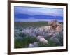 Great Salt Lake and the Wasatch Range, from Antelope Island State Park, Utah, USA-Jerry & Marcy Monkman-Framed Photographic Print