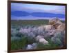 Great Salt Lake and the Wasatch Range, from Antelope Island State Park, Utah, USA-Jerry & Marcy Monkman-Framed Photographic Print