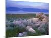 Great Salt Lake and the Wasatch Range, from Antelope Island State Park, Utah, USA-Jerry & Marcy Monkman-Mounted Photographic Print
