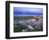 Great Salt Lake and the Wasatch Range, from Antelope Island State Park, Utah, USA-Jerry & Marcy Monkman-Framed Photographic Print