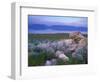 Great Salt Lake and the Wasatch Range, from Antelope Island State Park, Utah, USA-Jerry & Marcy Monkman-Framed Photographic Print