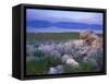 Great Salt Lake and the Wasatch Range, from Antelope Island State Park, Utah, USA-Jerry & Marcy Monkman-Framed Stretched Canvas