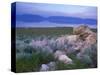 Great Salt Lake and the Wasatch Range, from Antelope Island State Park, Utah, USA-Jerry & Marcy Monkman-Stretched Canvas