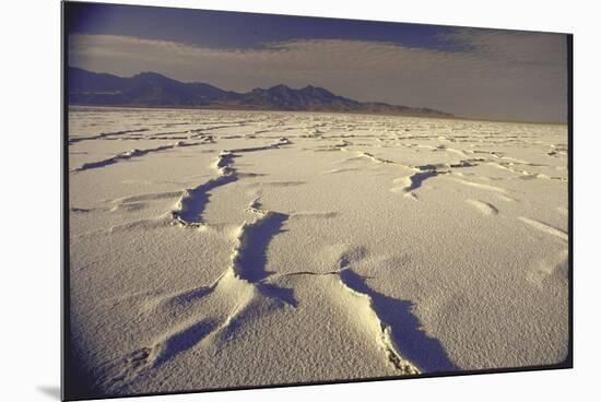 Great Salt Lake Desert-Bill Eppridge-Mounted Premium Photographic Print
