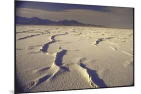 Great Salt Lake Desert-Bill Eppridge-Mounted Premium Photographic Print