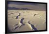 Great Salt Lake Desert-Bill Eppridge-Framed Premium Photographic Print