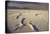 Great Salt Lake Desert-Bill Eppridge-Stretched Canvas