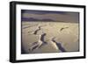 Great Salt Lake Desert-Bill Eppridge-Framed Photographic Print