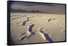 Great Salt Lake Desert-Bill Eppridge-Framed Stretched Canvas