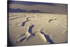 Great Salt Lake Desert-Bill Eppridge-Stretched Canvas
