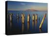 Great Salt Lake, Saltair, Great Basin, Utah, USA-Scott T. Smith-Stretched Canvas