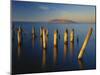 Great Salt Lake, Saltair, Great Basin, Utah, USA-Scott T. Smith-Mounted Photographic Print