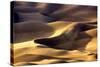 Great Sand Dunes I-Douglas Taylor-Stretched Canvas