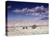 Great Sand Dunes National Monument at the Foot of the Sangre De Cristo Mountains in Colorado-Carol Highsmith-Stretched Canvas