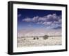 Great Sand Dunes National Monument at the Foot of the Sangre De Cristo Mountains in Colorado-Carol Highsmith-Framed Photo