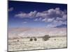 Great Sand Dunes National Monument at the Foot of the Sangre De Cristo Mountains in Colorado-Carol Highsmith-Mounted Photo