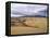 Great Sand Dunes National Monument-Guido Cozzi-Framed Stretched Canvas