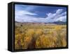 Great Sand Dunes National Monument-Guido Cozzi-Framed Stretched Canvas