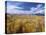 Great Sand Dunes National Monument-Guido Cozzi-Stretched Canvas