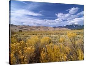 Great Sand Dunes National Monument-Guido Cozzi-Stretched Canvas