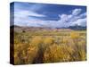 Great Sand Dunes National Monument-Guido Cozzi-Stretched Canvas