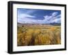 Great Sand Dunes National Monument-Guido Cozzi-Framed Photographic Print